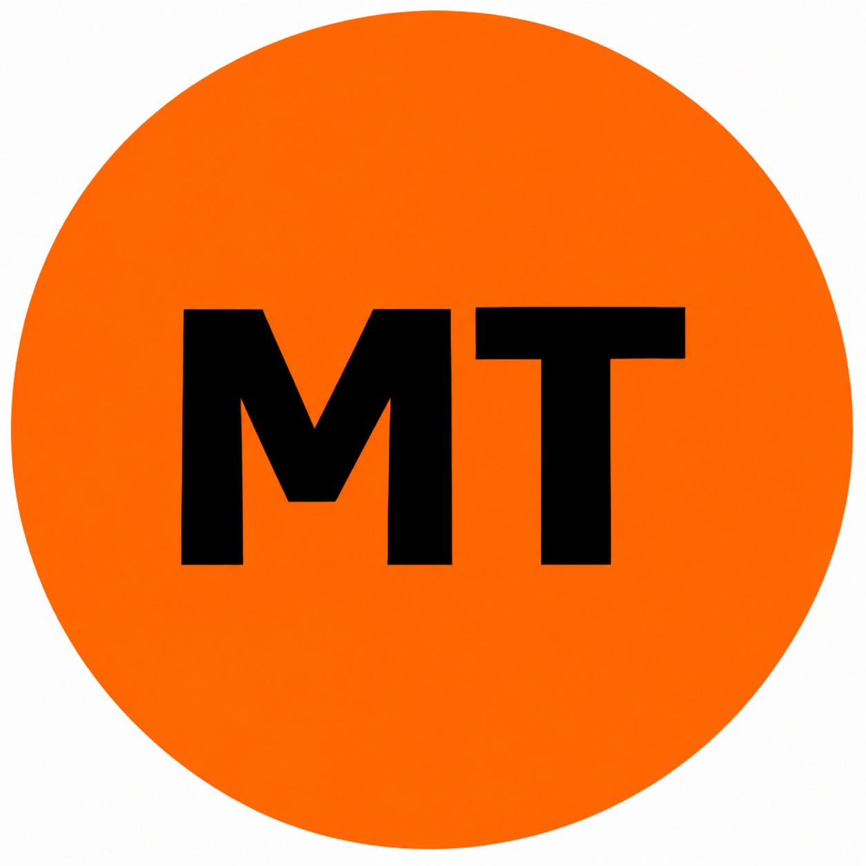 MTHOMEPROS.COM project photo